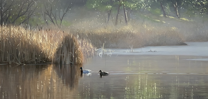 Winter Pond, Mallards Winter Pond, Mallards